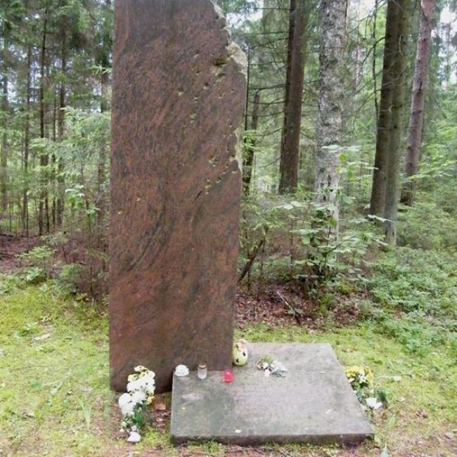 Žydų žudynių vieta ir nacizmo aukų kapas