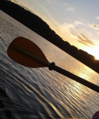 Rent kayaks, paddle boards, boats and mobile sauna
