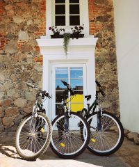 Bicycle rent