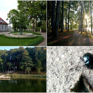 Edukacinė ekskursija „Žmogaus ir gamtos darna Ilzenbergo dvaro parke“